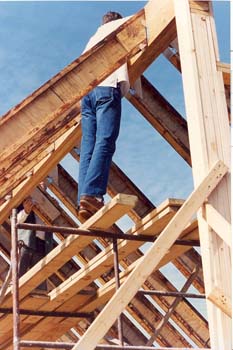 scan0031