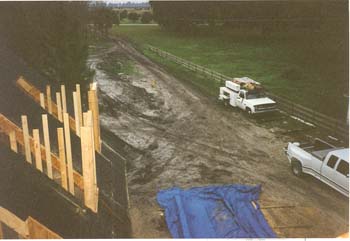 scan0061